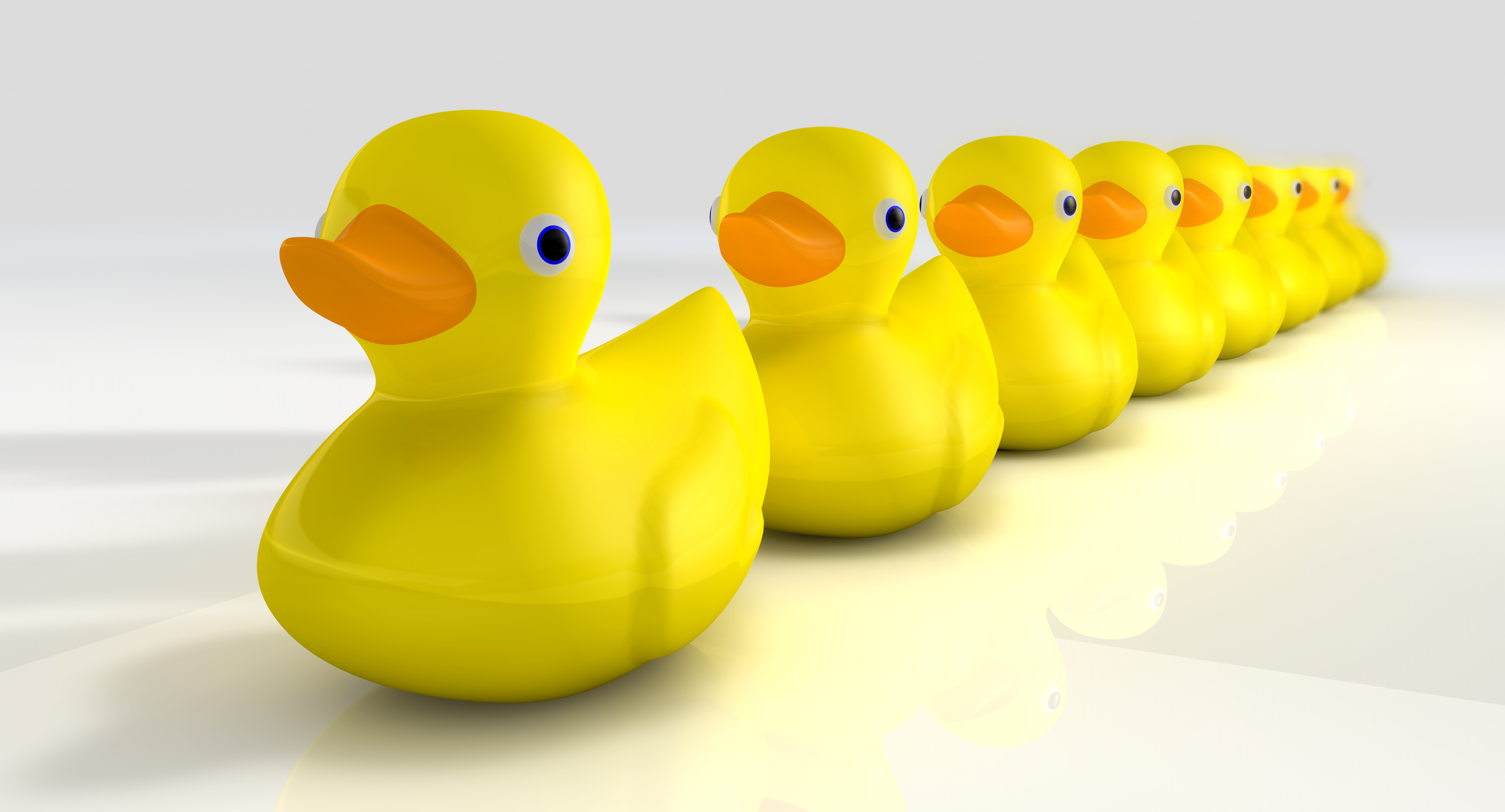 Get your tax planning ducks in a row